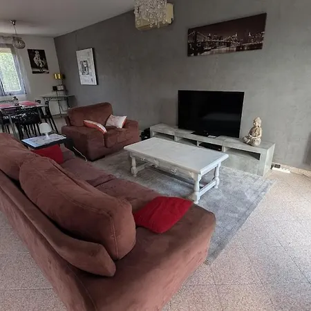 Maison Dans Lotissement Avec Jardin Villa Mions